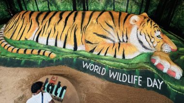 World Wildlife Day 2024 Sand Art: Sudarsan Pattnaik Exhibits 50ft-Long Tiger Sculpture at Tadoba Festival To Celebrate the Day (View Pic)